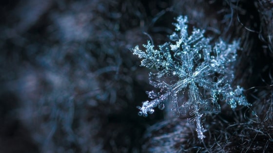 Hechizos de congelamiento