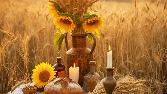 Cómo celebrar Lammas