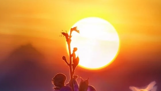 El Sol en las Casas Astrológicas