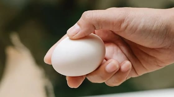 Cómo hacer una limpieza con huevo