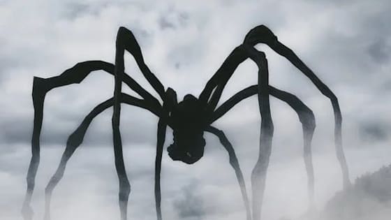Que significa soñar con arañas