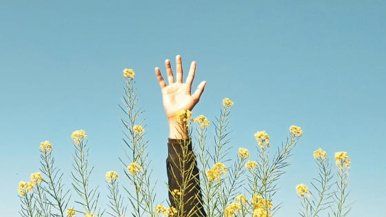 Deudores energéticos