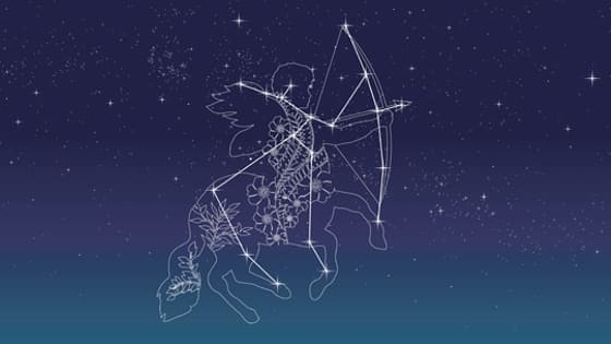 Sagitario en las 12 casas astrológicas